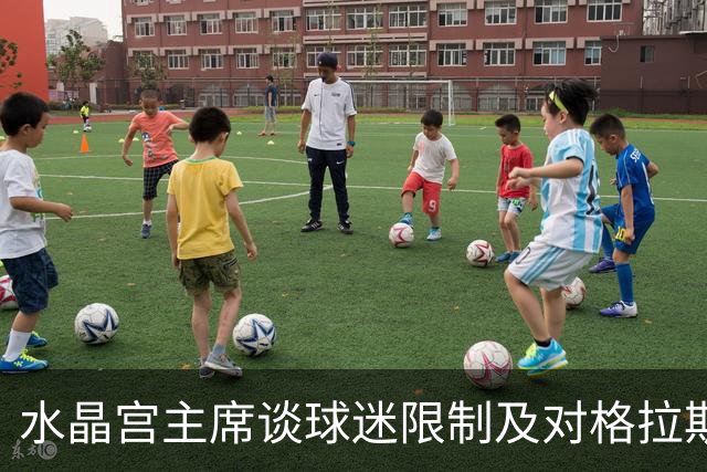 水晶宫主席谈球迷限制及对格拉斯纳回归的期待